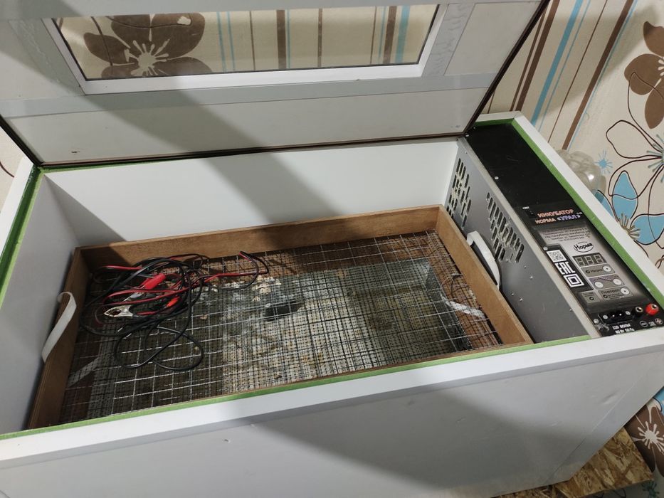 Инкубатор для яиц  Норма Урал