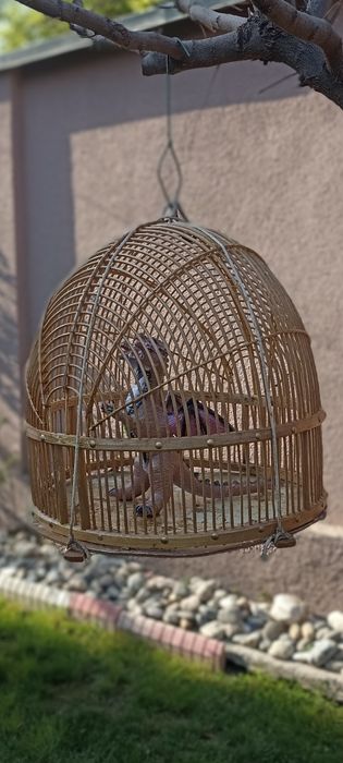 Клетка для Кеклика