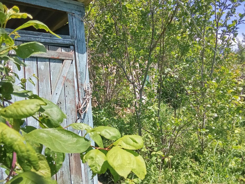 Продам дачу на ГеСе за ДК