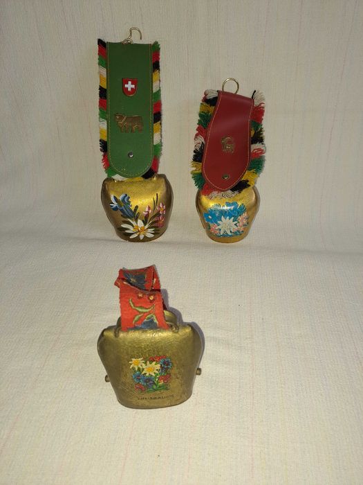 talanga elvetiana  24 cm curea