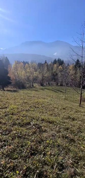 Teren intravilan,intabulat,Borsa Maramures 3900mp 50000€