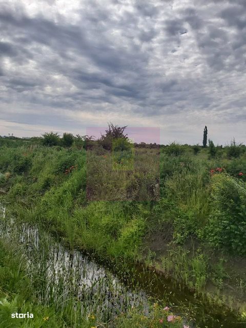 Teren Corbeanca- Drumul Garii Odai.