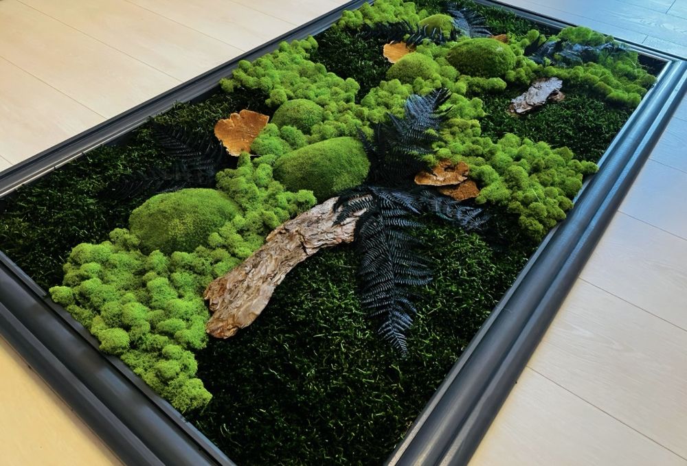 Decoratiuni cu muschi, licheni si plante stabilizate / Pereti verzi
