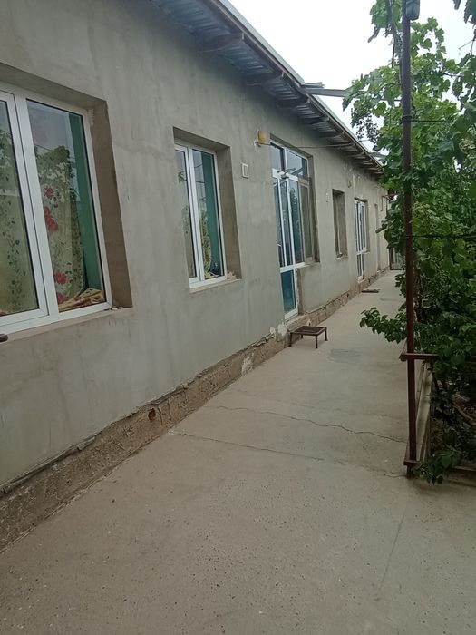 Uchastka sotiladi 6sotix+4sotix bogʻi ( yoʻl yuzida)Navoiyda