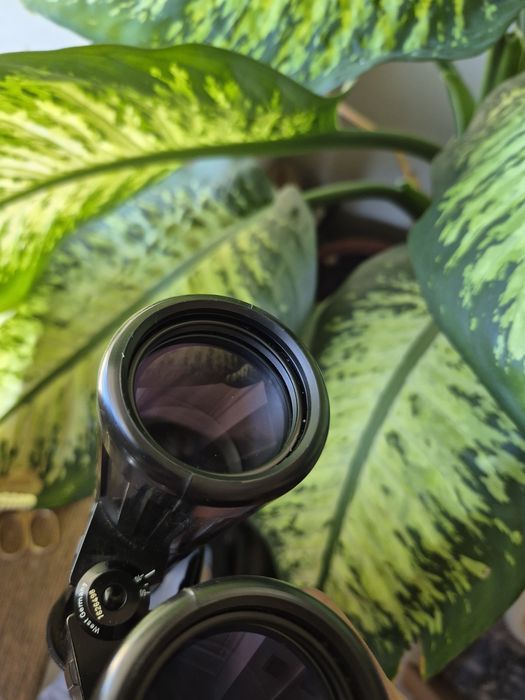 Vand binoclu  Zeiss Dialyt 10x40B (GA) T
