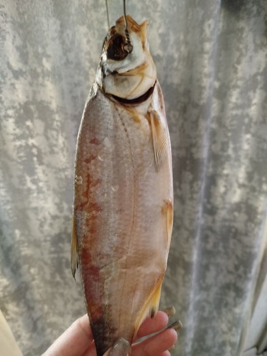 Продам сушёную рыбу