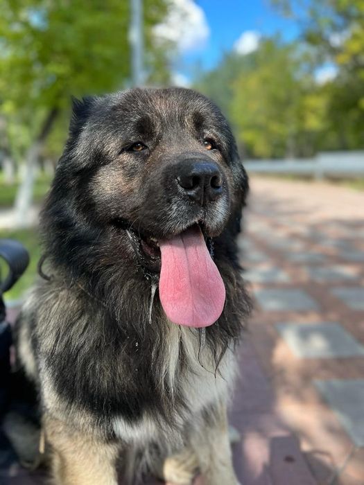 Вязка. Кабель. Хорошая родословная
