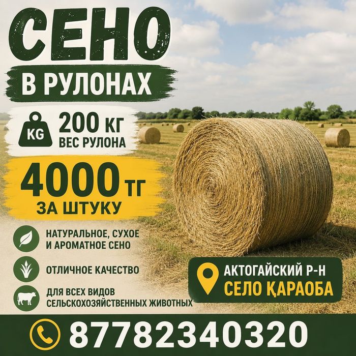 Шөп сатылады 200кг