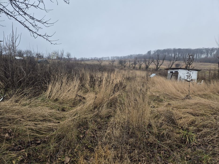 Teren ingradit in Sarata Dobreni de 1220 mp cu deschidere de 23,5 m