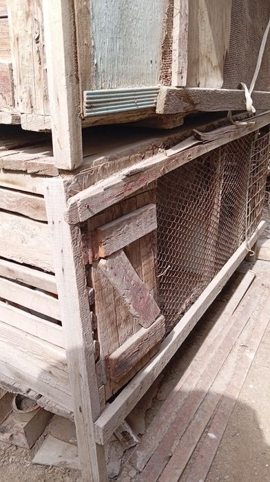 Quyon kataklari sotiladi