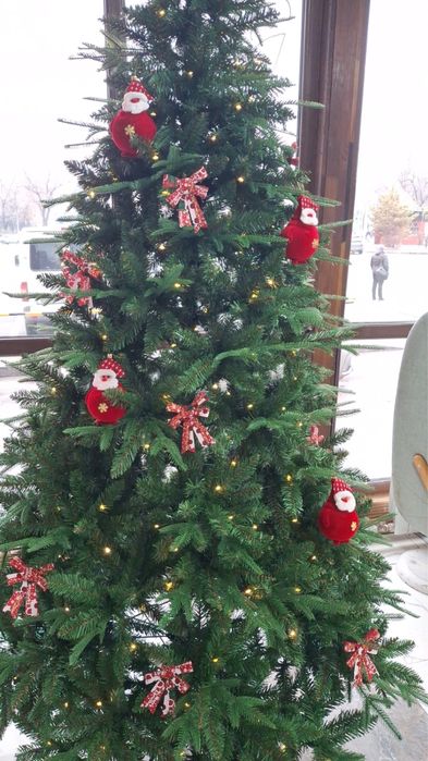 Новогодняя Ёлка в продаже!