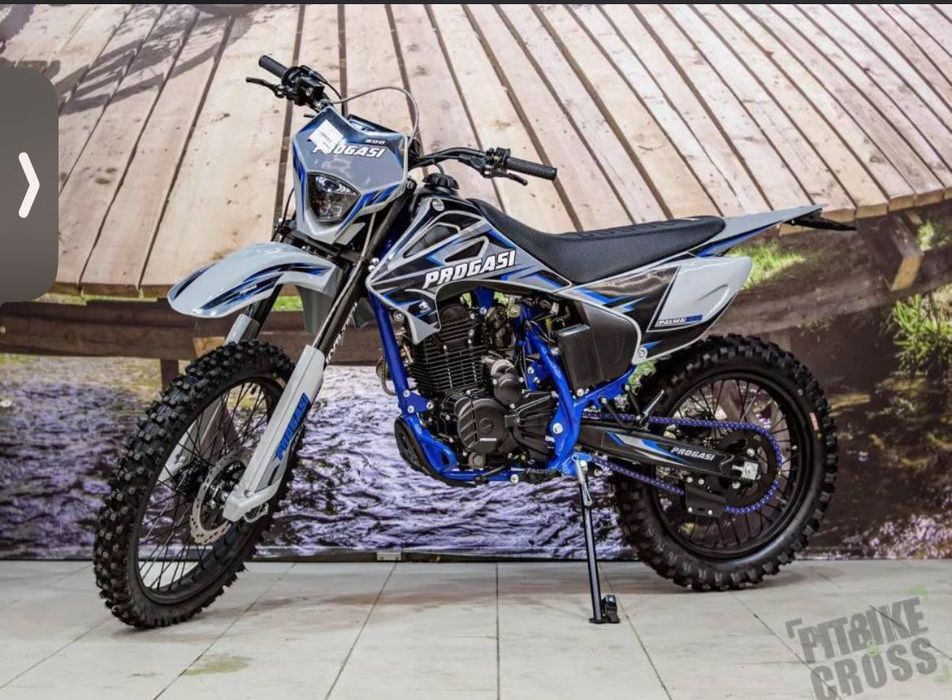 Эндуро Прогаси пальма 300