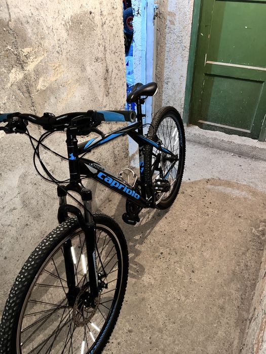 Bicicleta Capriolo 29