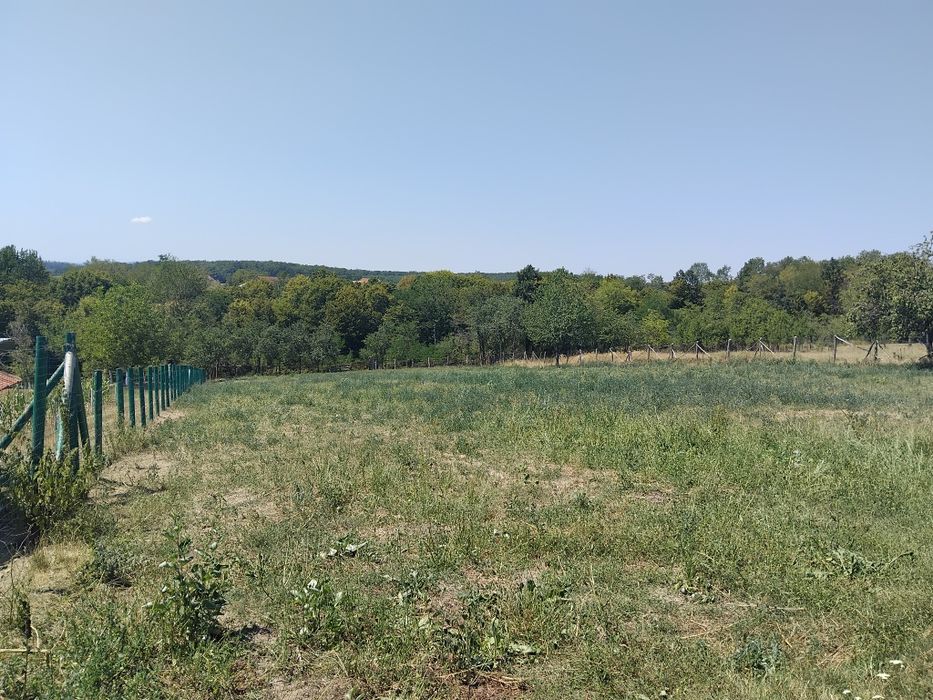 Vând casă în Cuied județul Arad
