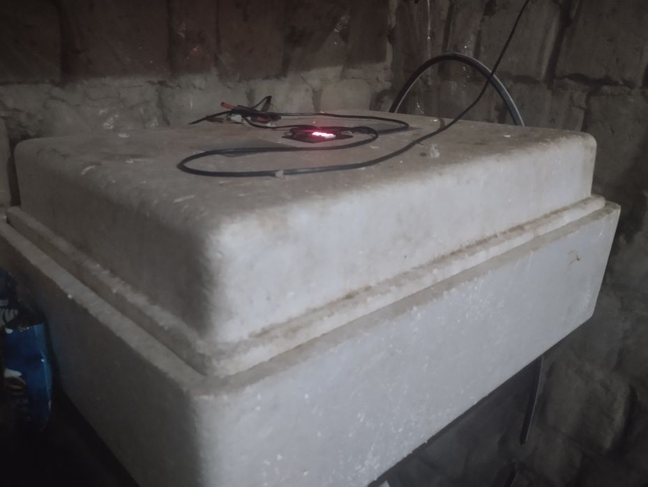 Инкубатор несушка