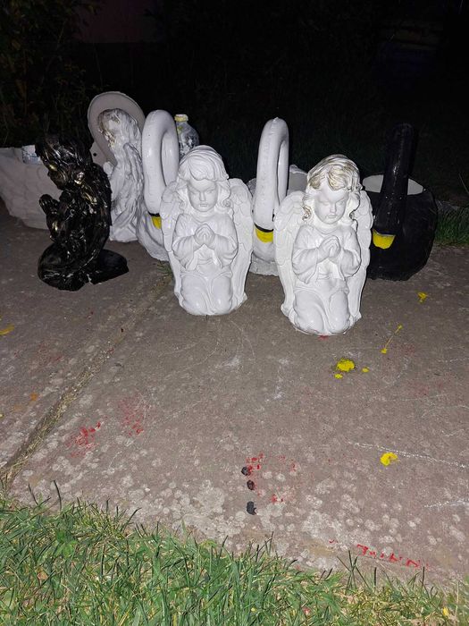 Set de doi ingerasi