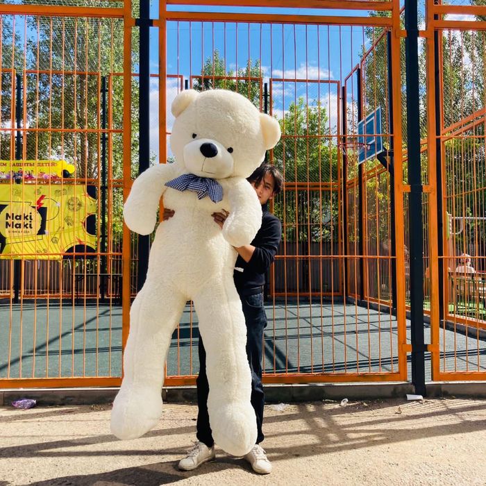 Плюшевые мишки