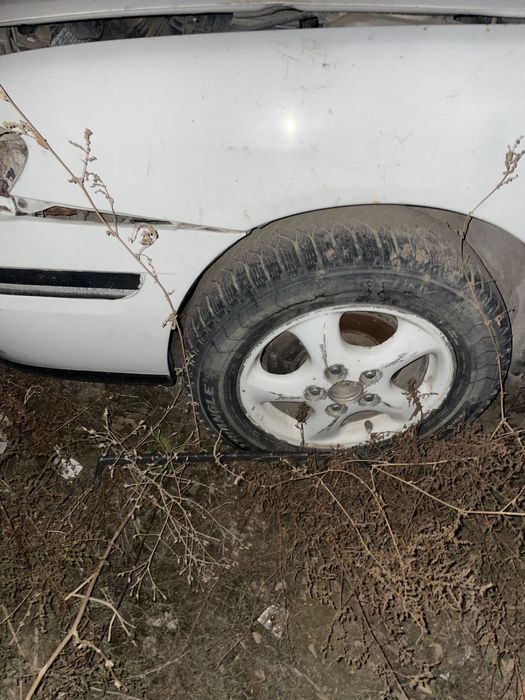 Мазда 626 птичка