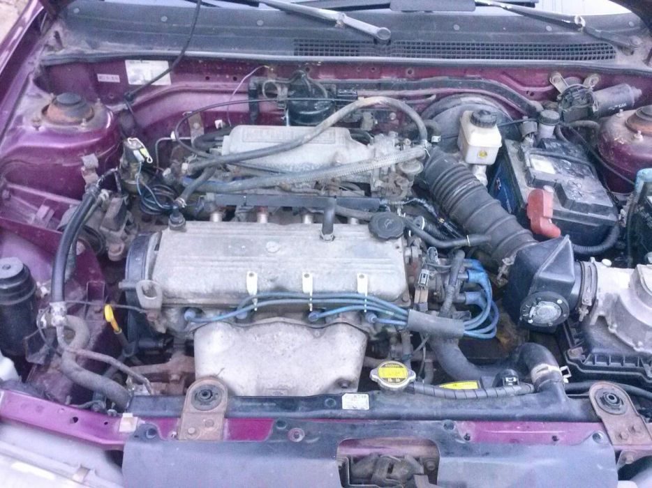 Кия сепия на части