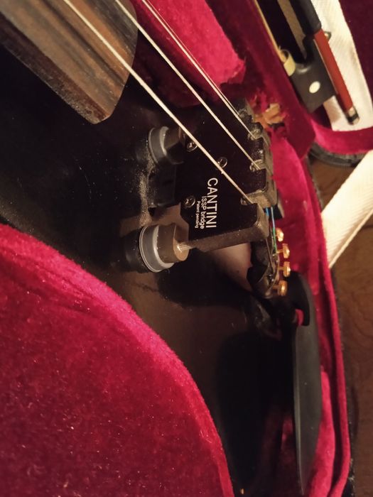 Цигулка кантини много добра як звук