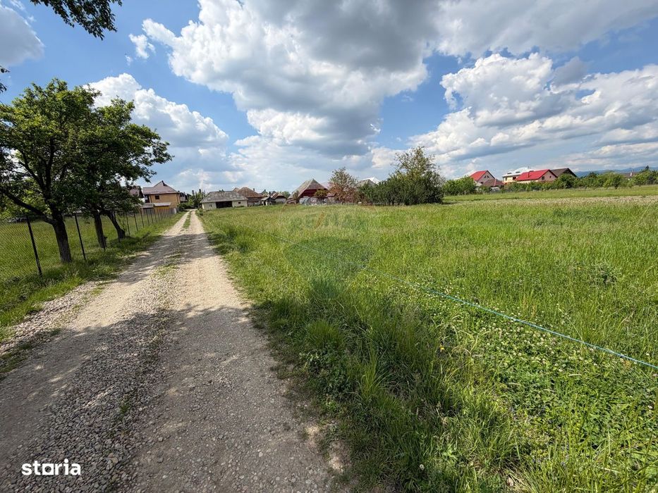 Loc casa / investitie / parcelare - TEREN in Mogosesti