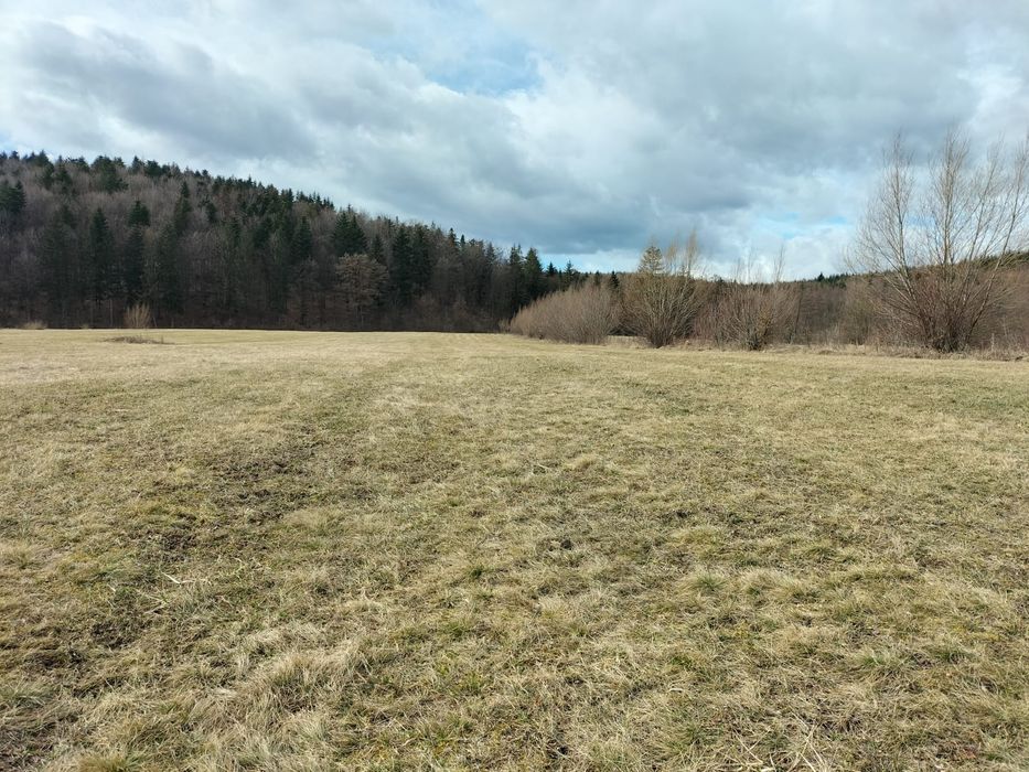 Teren de vânzare Oșlobeni