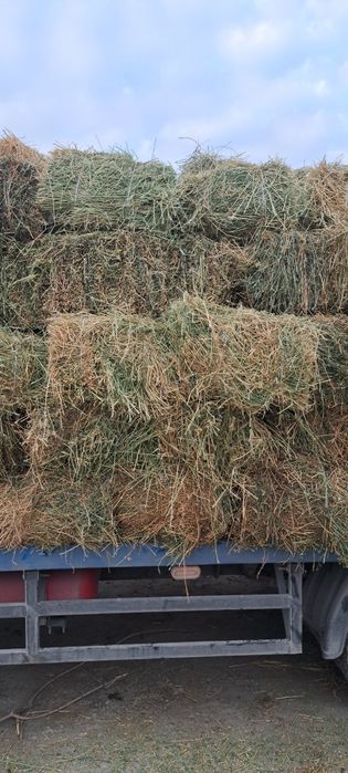 Беда прес сотилади