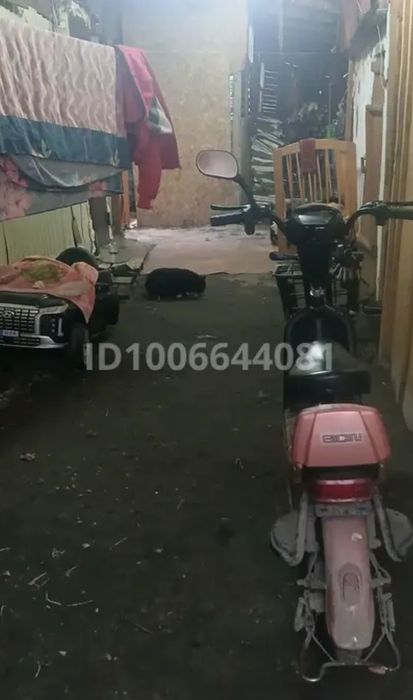 Продам дом находится в дачном массиве