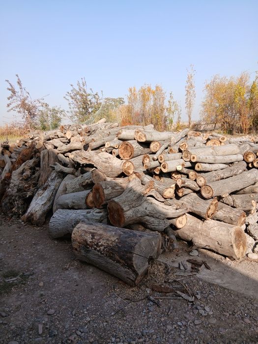 O'tin bor O'tin sotiladi