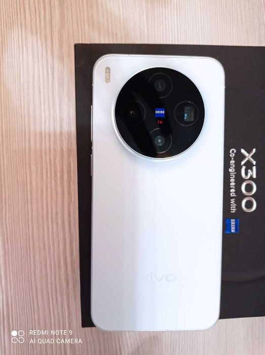 Vivo x300 16/512