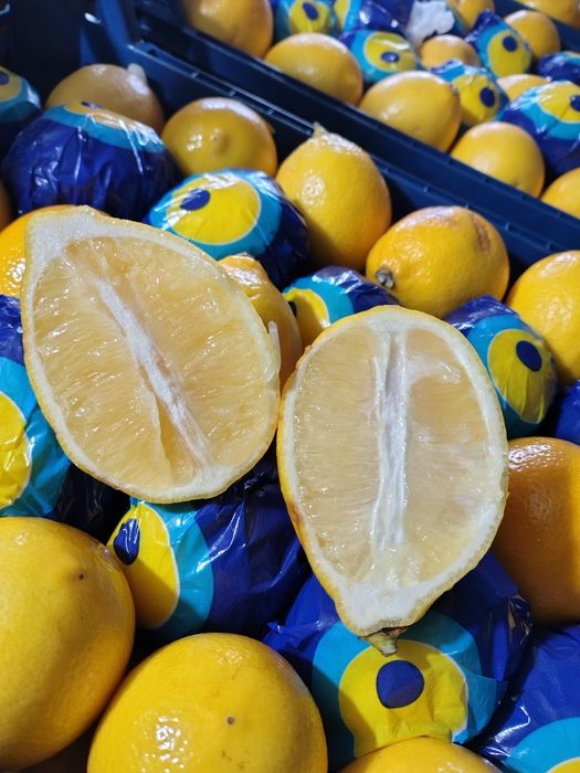 АКЦИЯ! Лимон Турецкий!