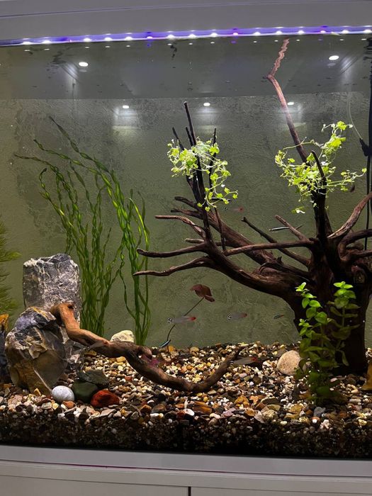 Срочно продается аквариум