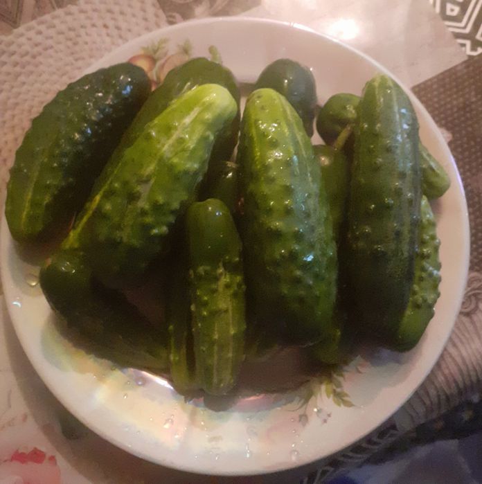 Продам домашние огурцы