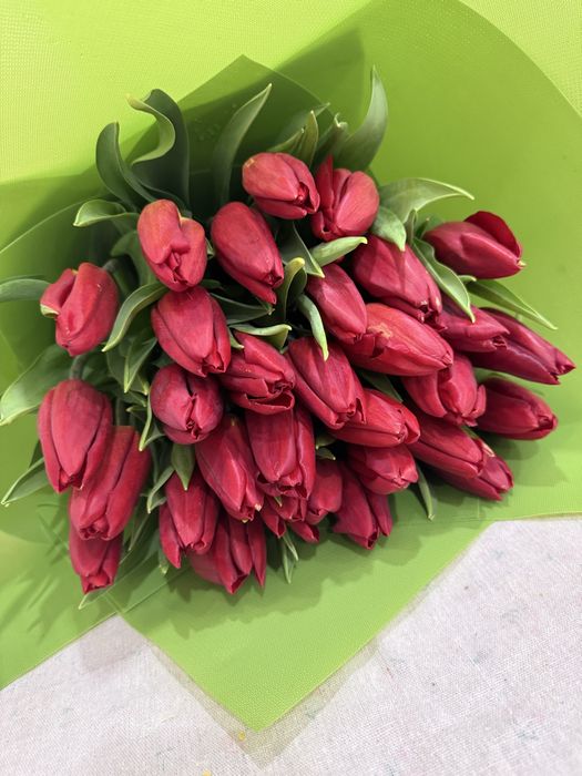 Свежие Голландские тюльпаны город Тараз