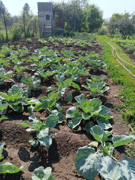 Продам дачу 2-я дачная направо