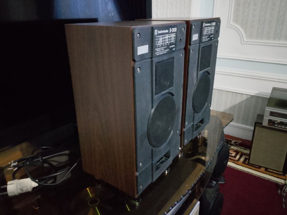 S 30 B Радиотехника калонка