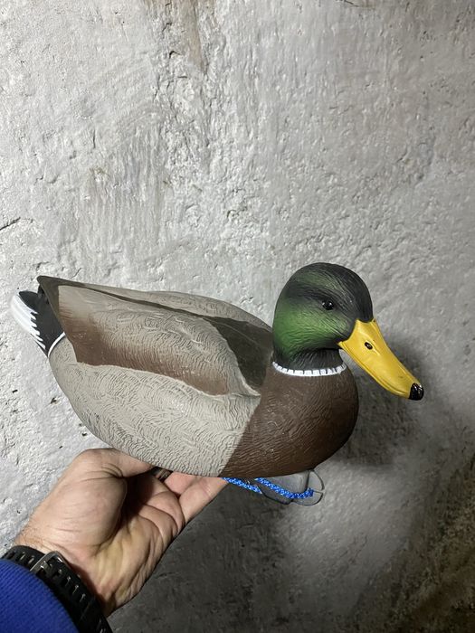 Продам чучела уток.