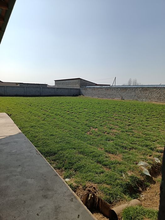 12 сотих хамма шароит бор ер участка сотилади