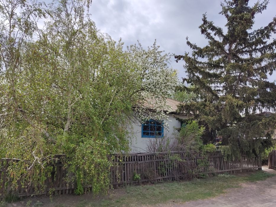 Дом с. Журавлевка