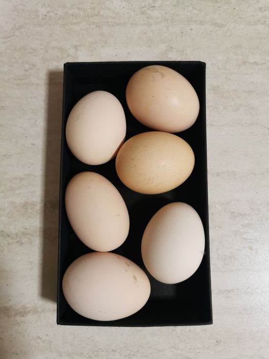 Vând ouă de țară