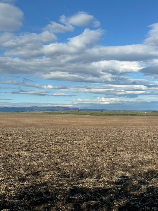 Продава се Парцел в Ямбол, Боровец - 530 кв.м за 4 €/кв.м - Снимка #1