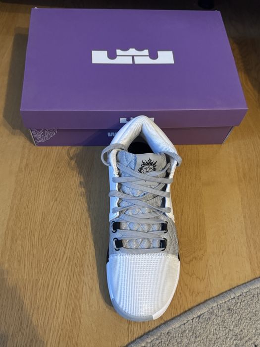 Adidasi Nike Lebron Witness 8