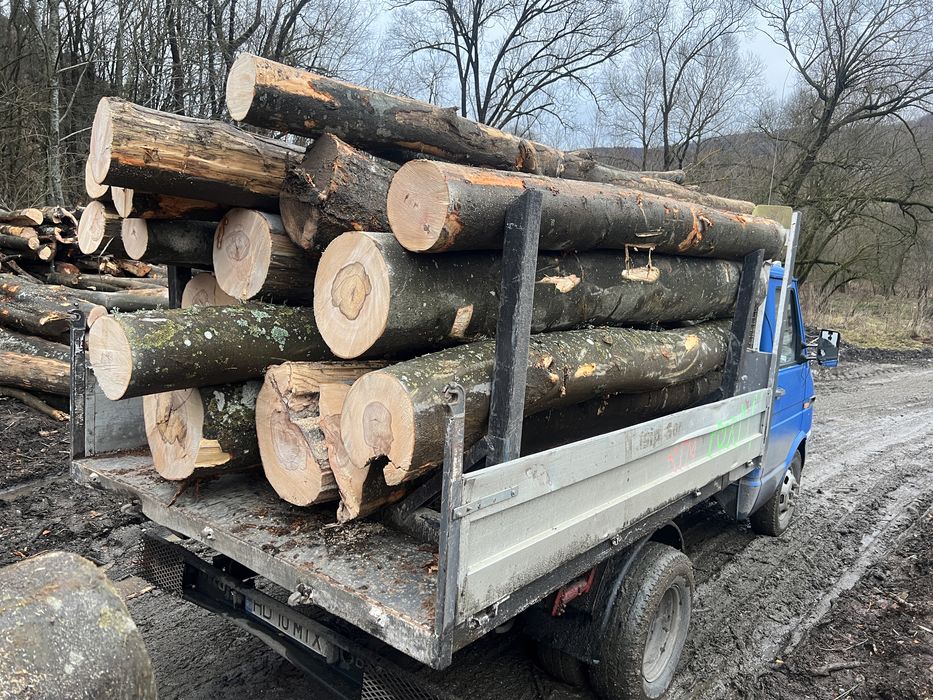 Lemn de foc  DOAR FAG 3,6 cub