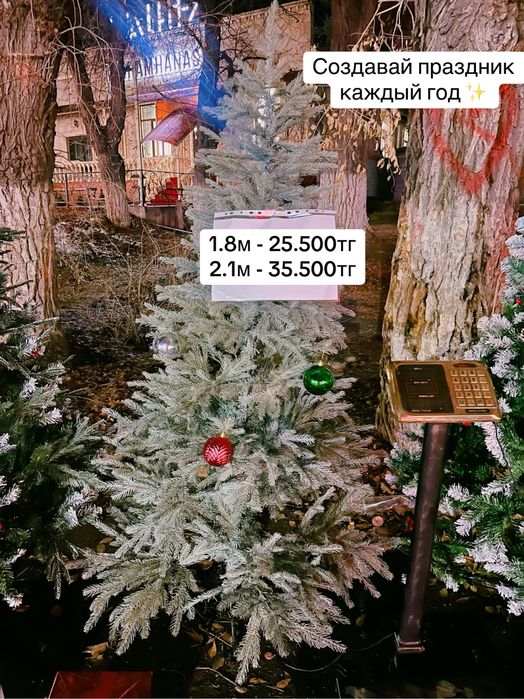 Ёлки , оптовые цены в розницу