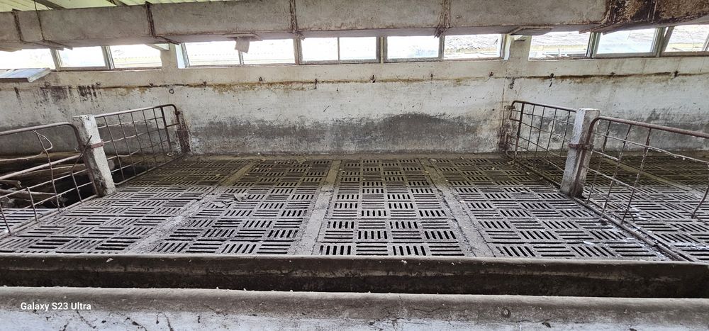Grătare din fontă pentru pardoseli ferme zootehnice