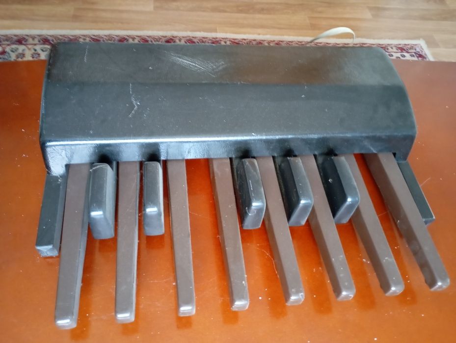 Електронен двуредов орган