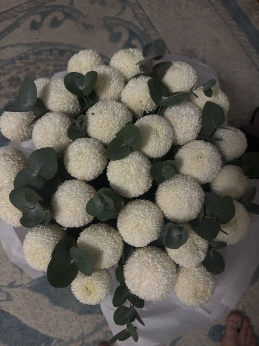 Букет момоко свежии сегод