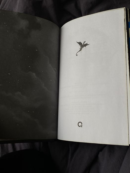 Книга железное пламя