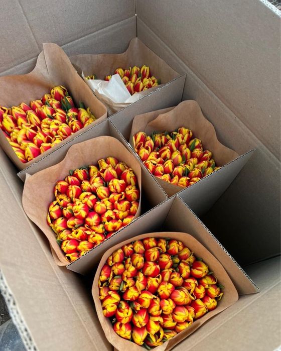 Тюльпаны оптом на 8 марта Алматы