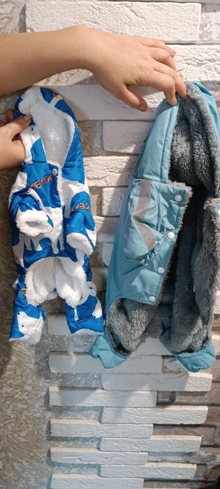 Продам комбинезон  для собаки